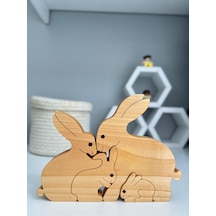 Hbs Art Design Tavşan Ailesi Desen Dekor Oyuncak
