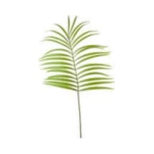 Yapay Palmiye Dalı - 130 Cm Çok Renkli
