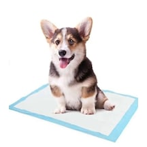 Cleanped 60x90 Kedi Köpek - Çiş Pedi
