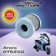 Arora Gts 250 Tam Uyumlu Yüksek Performanslı Motosiklet Yağ Filtresi