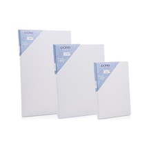 Profesyonel Tuval - 30x30cm Standart