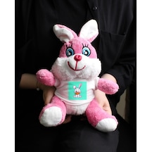 Tavşan Baskılı Tişörtlü Pembe Renk Peluş Tavşan 22cm