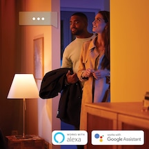Philips Hue Fugato Single Spot Lamba, Akıllı Led Ampul Ile, Siyah Diğer