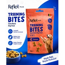 Reflex Köpek Somonlu Ödül Maması