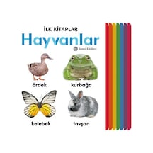 Hayvanlar / İlk Kitaplar / Kolektif