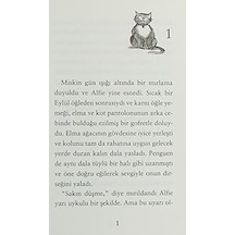 Penguen Adında Bir Kedi