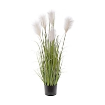 Yapay Çiçek Beyaz Püskül Grass Panpas Saz Siyah Aleminyum Saksıda