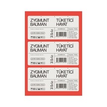 Tüketici Hayat - Ekonomi Ve Toplum Üzerine Derinlemesine Analiz