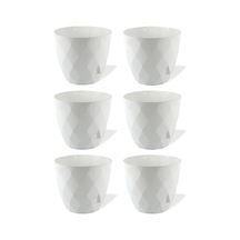 Omnipazar Krs-450 Yakamoz Tabaklı Plastik Saksı Takımı 0.3 Lt Beyaz 6 Adet