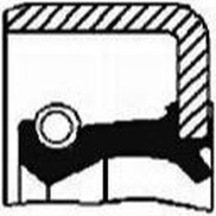 Skt 45600 Prızdırek Kecesı On Magırus