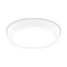 Magneos Yuvarlak Tavan Lambası 12w 1350 Lumen 4000k Gün Işığı 21 Cm
