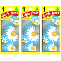 Little Trees Daisy Chain Papatya Aromalı Oto Kokusu 3 Adet
