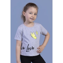 Toontoy Kids Toontoy Kız Çocuk Kelebek Baskılı Taş İşlemeli Tişört Gri Melanj Toontoy Kids Toontoy Kız Çocuk Kelebek Baskılı Taş İşlemeli Tişört Gri Melanj