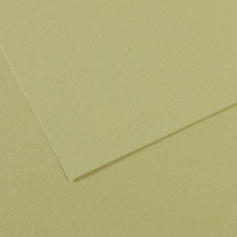 Canson Fon Kartonu Dokulu Mı-teıntes Sh Canmt 50x65 160 Gr Grn 480