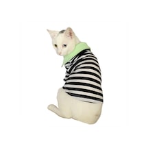 Kemique Grass Hopper Stripe Polo Yaka Kedi Tişört