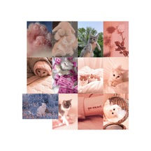 Kedi Cute Cats Soft Poster Duvar Kağıdı Seti