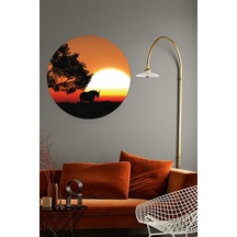 Africa Gün Batımı Baskılı Dekoratif Duvar Sticker 80x80 Cm