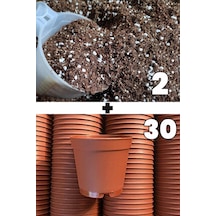2 lt kaktüs sukulent yetiştirme toprağı ve 30 adet 5.5 cm saksi