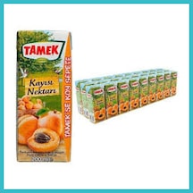 Bezos Tamek Kayısı Nektarı 200 Ml 27 Adet Dfnbez