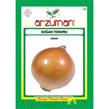 Valenciana Soğan Tohumu 10 Gr Ort 2500 Ad Tohum