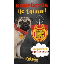Petjoo 9.Konfüçyüs Sarı-Kırmızı Qr'lı Köpek Künyesi