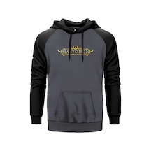 Mastodon Logo Gri Renk Reglan Kol Sweatshirt Gri