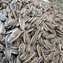 Siyah Tuzlu Çekirdek 500 G