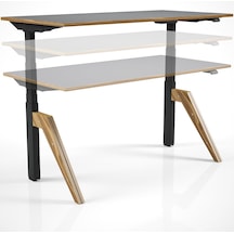 Tr Regula Desk Dandy - Elektrikli Yükseklik Ayarlı Çalışma Masası, Sıradışı Tasarım, Çift Motorlu, Bluetooth Genel