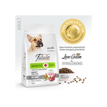 Hypoallergenic Small Mini Kuzulu Küçük Irk Düşük Tahıllı Yetişkin Köpek Maması 6 Kg