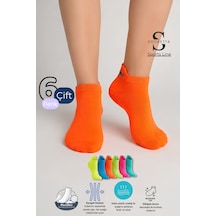Socketta Kadın Mikrofiber Dikişsiz 6'lı Karışık Renk Patik Çorap Premium Çok Renkli