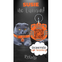 Petjoo 3.Susie Gri-Turuncu Qr'lı Kedi Künyesi