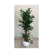 120 Cm Yapay Benjamin Beyaz Küre Dekoratif Ağaç