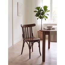 Clara Retro Thonet Kolçaklı Ahşap Sandalye Ceviz