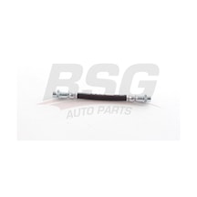 Bsg Fren Hortumu Arka - Megane Iv / Scenıc Iv / Talısman 16-