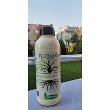 1 L