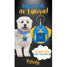 Mavi