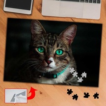 Yeşil Gözlü Sevimli Kedi 240 Parça Puzzle Yapboz Tablo-3674