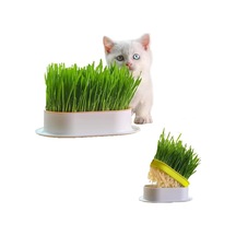 Özel Plastik Kâseli 0 Doğal Fileli Kedi Çimi Tüy Yumağı Önleyici