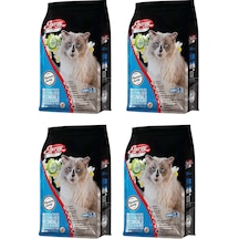 Energy Kısırlaştırılmış Somonlu Yetişkin Kedi Maması 4 x 1 KG