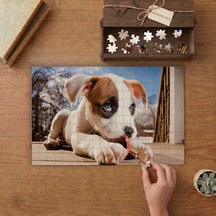 Sevimli Yavru Köpek Tasarımı 240 Parça Ahşap Puzzle Ahşap Kutuda Mpy20441