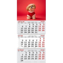 2026 Yılı Gemici Takvimi- Noel Kıyafetli Shih Tzu