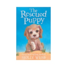 Holly Webb Animal Stories: The Rescued Puppy