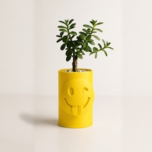 3d Baskı Emoji Planter - Göz Kırpan Yüzlü Sukulent Saksısı-sarı Çok Renkli