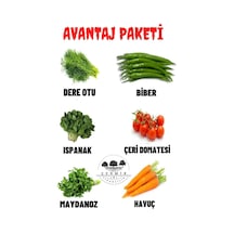 Dereotu ,biber , Ispanak, Çeri Domates , Maydanoz , Havuç 60 Gr
