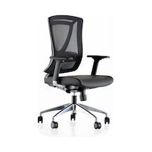 Dekofis Goldsit Ergonomik Çalışma Koltuğu