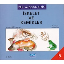 Fen Ve Doğa Dizisi Iskelet Ve Kemikler