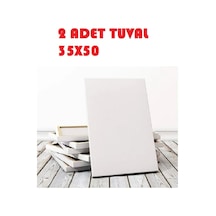2 Adet Tuval 35x50