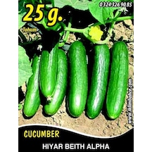 Hıyar Tohumu Salatalık Beith Alpha 25G Takribi 500 Tohum