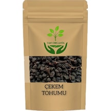 Çekem Tohumu Viscum Album 25gr
