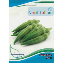 Nesil Bamya Tohumu 10 GRam